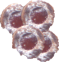 Hildabr&ouml;tchen